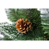 Kunstkerstboom 220 cm met Sneeuw & Houten Stam - 34% Korting