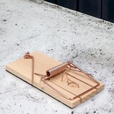 10 Beukenhouten Muisvallen - Gifvrij & Herbruikbaar - 40% Korting!