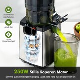 Slowjuicer voor Groenten & Fruit - 250W - Zilver (35% Korting)