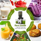 Slowjuicer voor Groenten & Fruit - 250W - Zilver (35% Korting)