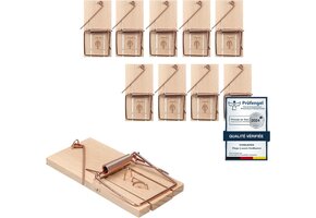 Muisvallen Hout 10 stuks | Diervriendelijk & Herbruikbaar | 50% Korting
