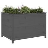 Verhoogde Plantenbak van Grenenhout - 119,5x82,5x78 cm - Grijs (60% Korting)