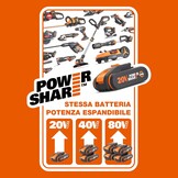 Worx PowerShare Accu- en Snellader Set 20V 4000mAh WA3604