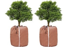 Winter Plantenhoes Dubbellaags Waterdicht Polyester 45x55 cm (2 stuks) - 77% Korting