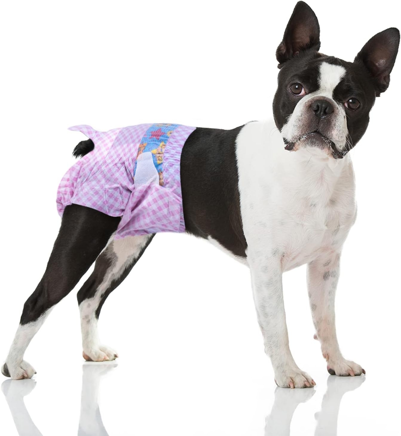 Hondentoiletjes voor Teefjes M, 20 stuks - 76% korting!