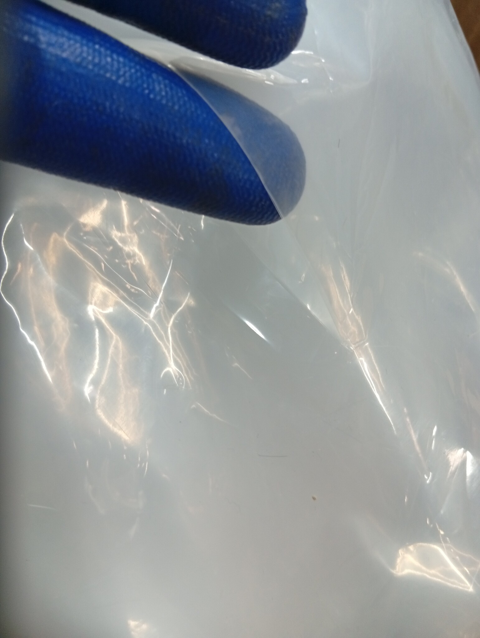vidaXL Zeildoek Transparant 3x4 m met Oogjes - 56% Korting