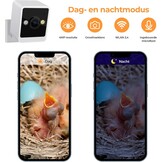 Vogelhuiscamera Outdoor 4MP - Observeer Nestbouw | 34% Korting