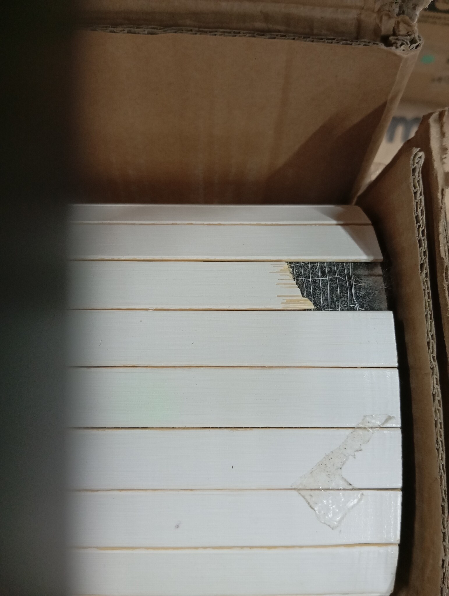 vidaXL Kamerscherm Bamboe Wit 600x165 cm - 54% Korting