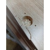 VidaXL Garagewandkasten Sonoma Eikenhout 2 Stuks - 59% Korting!