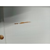 VidaXL Salontafelset Grenenhout Wit (58% korting)