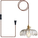 XZHGCEE hanglamp met stekker: vintage hanglamp van helder glas met 4,5 meter kabel en draaischakelaar voor keuken, eettafel, woonruimte, badkamer en huurwoning
