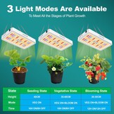 Led Kweeklamp 75W Full Spectrum met Timer - 56% Korting