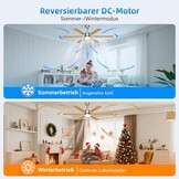 EppieBasic Plafondventilator met verlichting, 132 cm, stille DC-motor met afstandsbediening/app-bediening, 6 snelheden, zomer-winterwerking, 6 vleugels, houtlook, voor woonkamer/slaapkamer