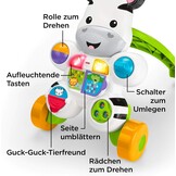 Fisher-Price Loopwagen Zebra, interactief en muzikaal, voor baby's vanaf 6 maanden, multicolor