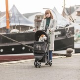 Hondenbuggy Zwart - Ideaal voor Oudere Honden - 34% Korting