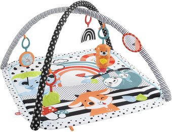 Fisher-Price 3-in-1 Muziek Speelgoedgym - 34% Korting - 0m+