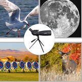 Svbony SV28 Spotting Scope 25-75x70, BAK4 Prism MC Optiek Monoculair met Statief Telefoon Adapter 45 Gebogen Oculair Spotting Scope voor het observeren van vogels (zwart)