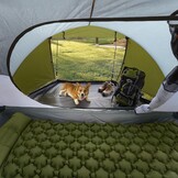 Night Cat Pop Up Tent voor 3 4 Personen: Waterdichte Kampeertent Eenvoudig Op Te Zetten voor Familie festivals Kampeer Picknicks in Tuin Achtertuin Park