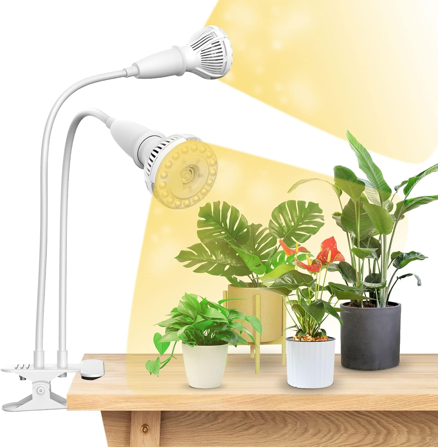 SANSI Led-plantenlamp voor kamerplanten, 600 W, volledig spectrum, 4 zwanenhals, clip, plantenlicht met timer, 4/8/12 uur, groeilamp met hoge PPFD-groeilamp voor tuin, broeikas