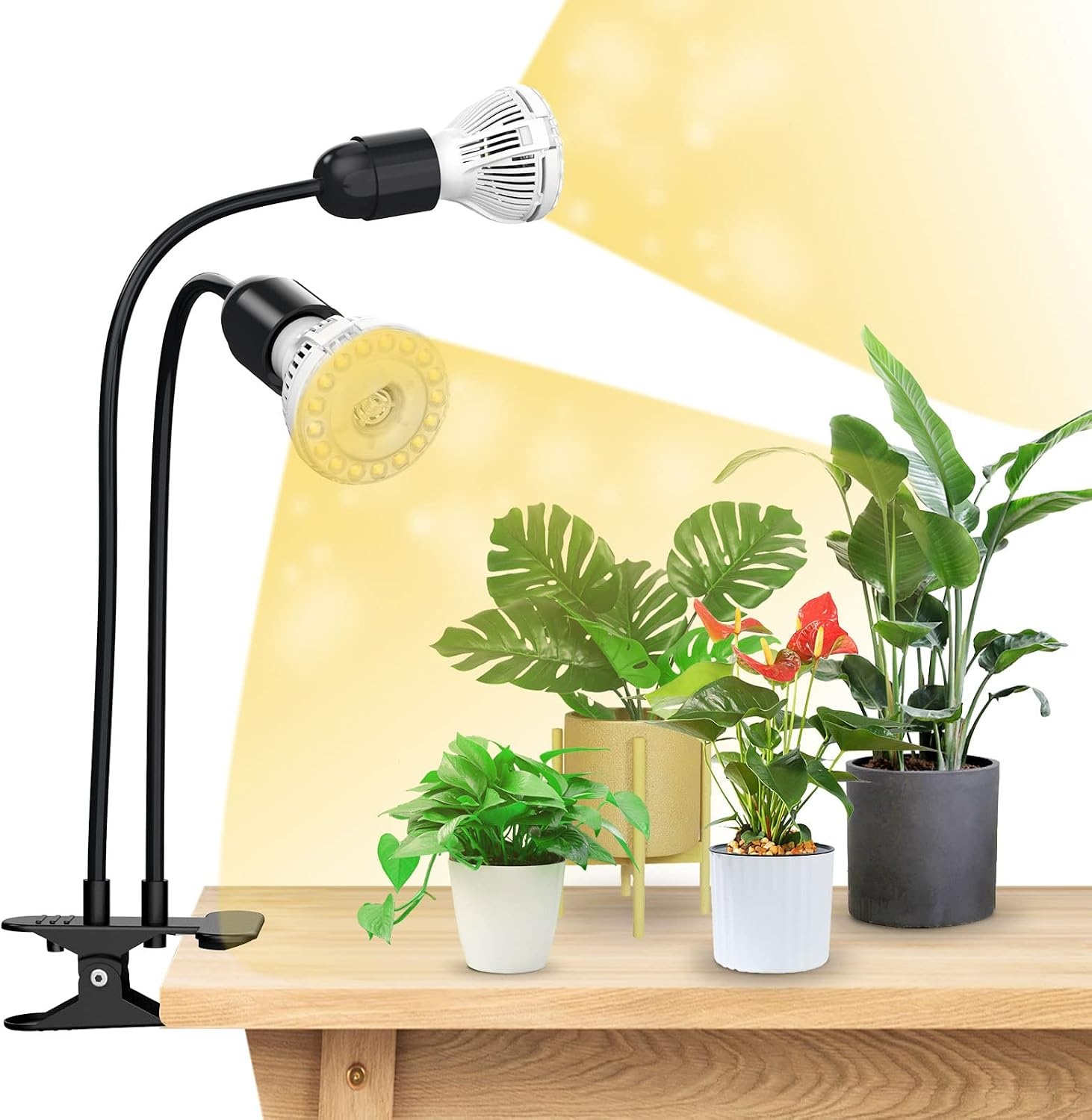 SANSI Led-plantenlamp voor kamerplanten, 600 W, volledig spectrum, 4 zwanenhals, clip, plantenlicht met timer, 4/8/12 uur, groeilamp met hoge PPFD-groeilamp voor tuin, broeikas