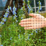 Ohuhu Vogelnet Tuinnet 2m x 30m - Zwart - Inclusief Kabelbinders en Grondpennen