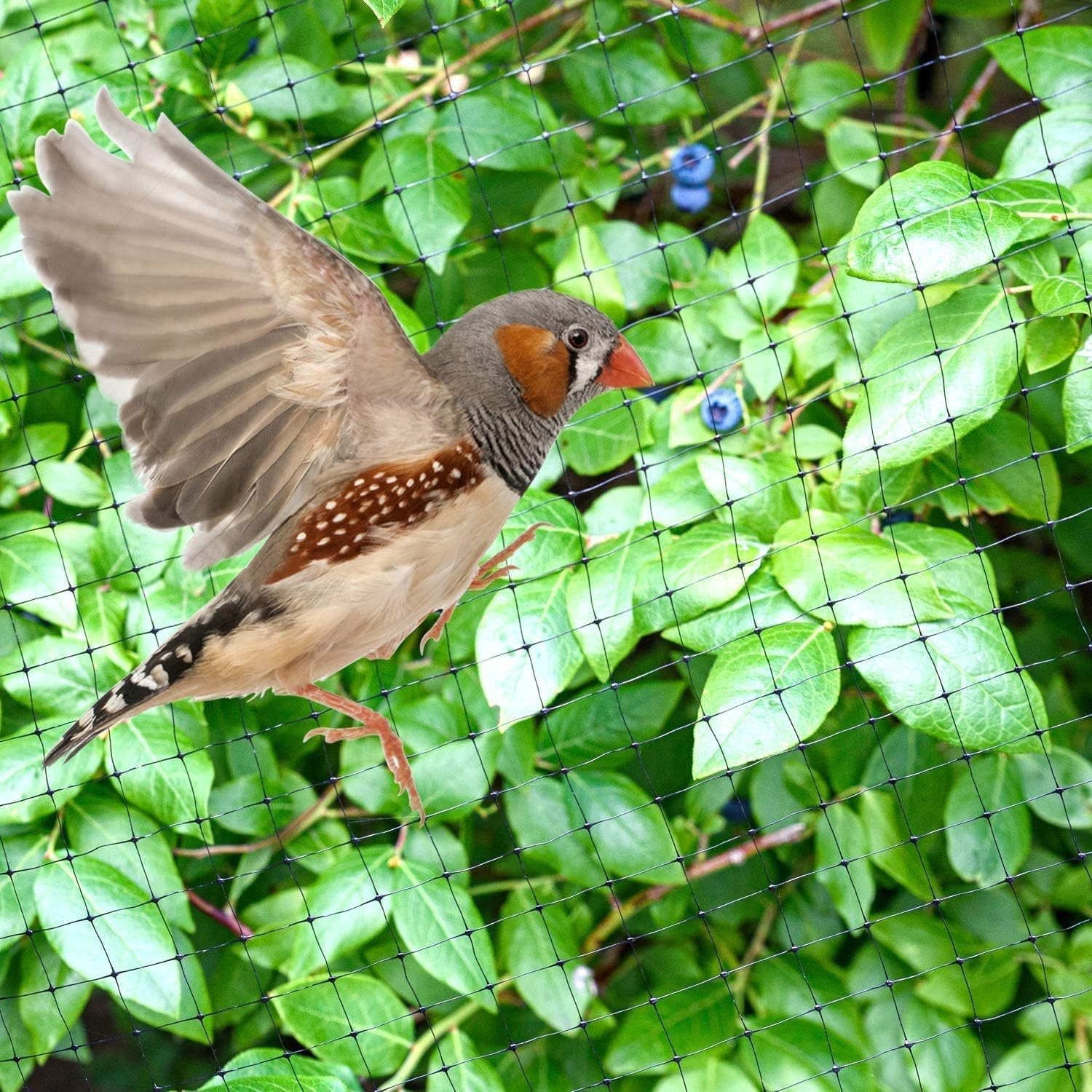 Ohuhu Vogelnet Tuinnet 2m x 30m - Zwart - Inclusief Kabelbinders en Grondpennen