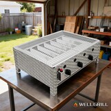 WELL GRILL RVS Gasbarbecue Vervangingsset 60 x 48 cm voor 3-Branders
