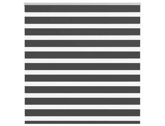 Zebra rolgordijn 150x150 cm Zwart - 34% Korting