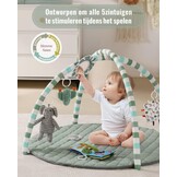 Blissful Diary Baby Play Gym, Baby Activity Mat Met 6 Verwijderbare Speelgoed, Eenvoudig Te Installeren En Reinigen, Essentieel Babypakket Babycadeaus, Saliegroen