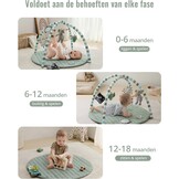Blissful Diary Baby Play Gym, Baby Activity Mat Met 6 Verwijderbare Speelgoed, Eenvoudig Te Installeren En Reinigen, Essentieel Babypakket Babycadeaus, Saliegroen