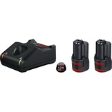 Bosch Professional 12V System accuset (2x 2,0 Ah accu + oplader GAL 12V-40 C132, in kartonnen doos)