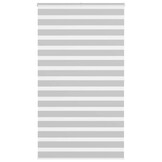 vidaXL Zebra rolgordijn 125x200 cm stofbreedte 120,9 cm lichtgrijs