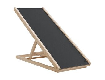 vidaXL Hondenloopplank 100x40 cm massief vurenhout grijs