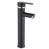 Hoge badkamerkraan - wastafelkraan - 31 cm hoog - zwart
