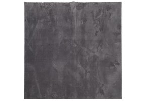 vidaXL Vloerkleed HUARTE Antraciet 120x120 cm - 45% Korting