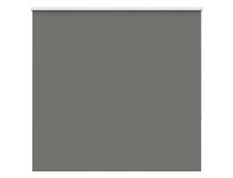 VidaXL Verduisterend Rolgordijn - Grijs - 165x175 cm - 34% Korting