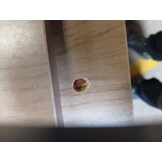 vidaXL Wandtafel met Lade en Plank - Artisanaal Eikenkleurig (59% Korting)