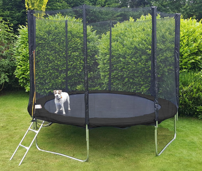 Trampoline 244 cm Zwart met Veiligheidsnet & Ladder - 35% Korting!
