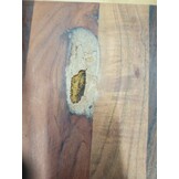vidaXL Tafelblad Massief Acaciahout 60x60 cm - 54% Korting