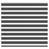 VidaXL Zebra rolgordijn 165x150 cm Zwart - 34% Korting