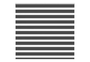 VidaXL Zebra rolgordijn 165x150 cm Zwart - 34% Korting