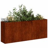 Plantenbak Roestig Staal 200x40x80 cm - 54% Korting