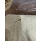 Opvouwbare Vloerstoel Microvezel Crème - 54% Korting