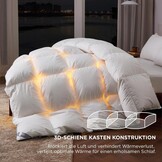 BEDSURE Donzen dekbed 155 x 220 cm, warm winterdekbed van 90% dons / 10% veren 1480 gr. dikke vulling, extra warm verendekbed met Öko-Tex-certificaat, wasbaar quilt wit