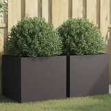 vidaXL Plantenbakken 2 st 49x47x46 cm staal zwart