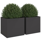 vidaXL Plantenbakken 2 st 49x47x46 cm staal zwart