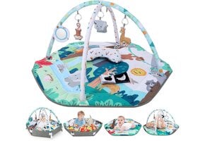 Baby Speelgym Meerkleurig - 34% Korting