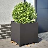 Plantenbak 50x50x50 cm Staal Zwart - 54% Korting