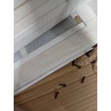 vidaXL Kamerscherm met 6 panelen massief paulowniahout wit