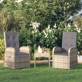 vidaXL Tuinstoelen 2x Verstelbaar met Kussens, Poly Rattan Grijs (55% Korting)